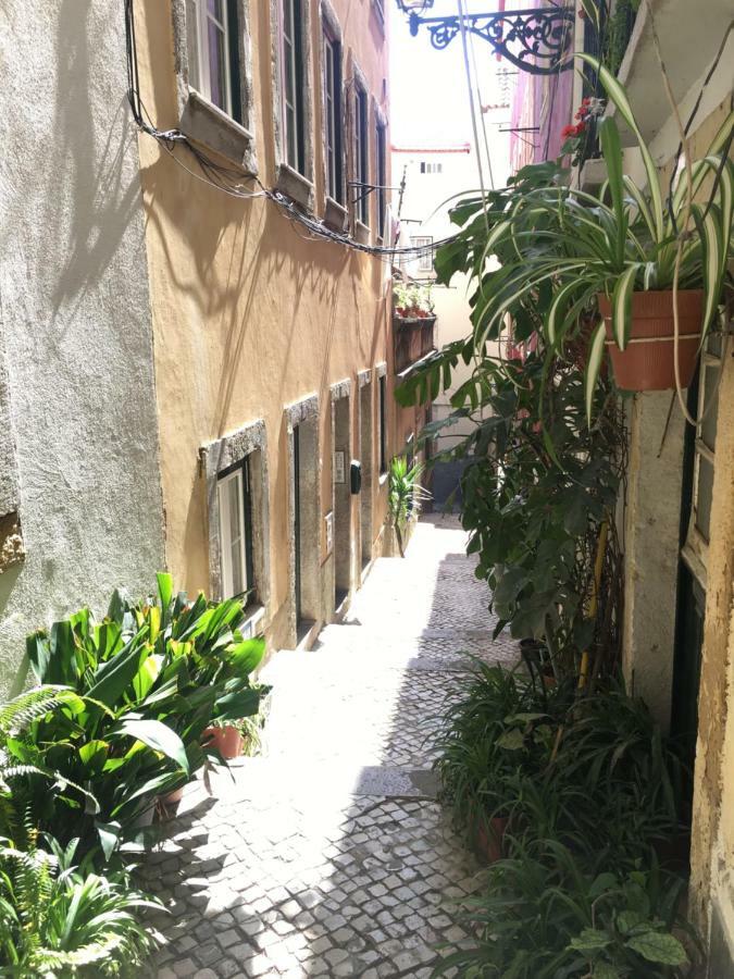 Casa Da Saudade, A Cozy Apartment In Alfama Лісабон Екстер'єр фото